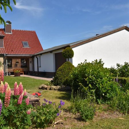 Apartment In Robertsdorf With Garden, Terrace, Barbecue Blowatz Quarto foto